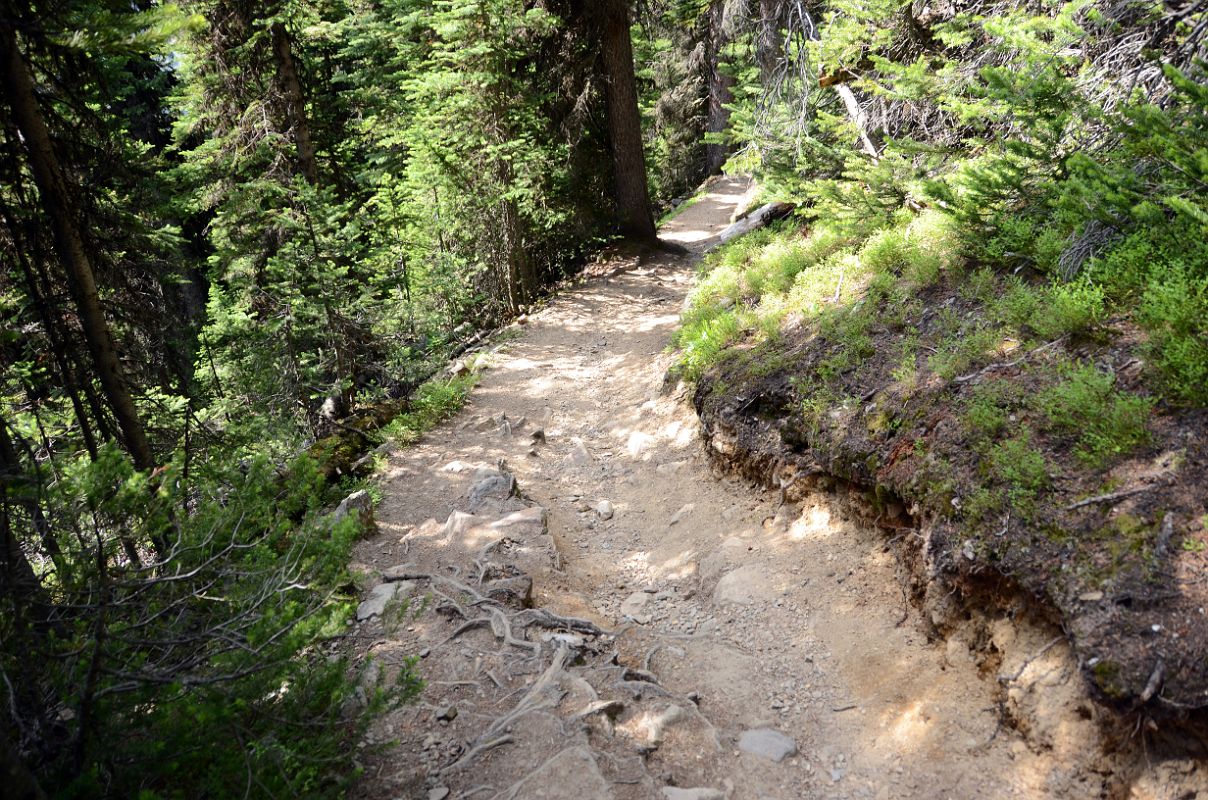 12 The Trail Descends From Lake Agnes Trail To Plain Of Six Glaciers Trail Near Lake Louise